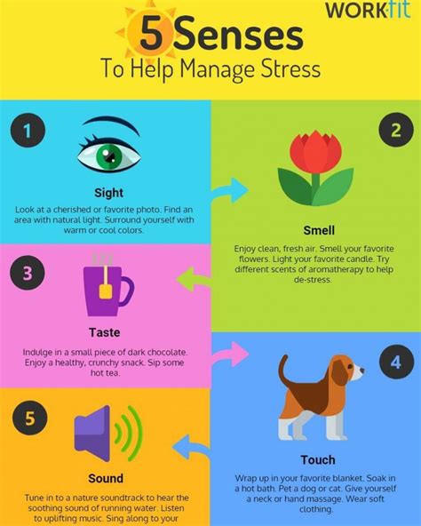 Senses To Help Manage Stress Infographics To Help You Less