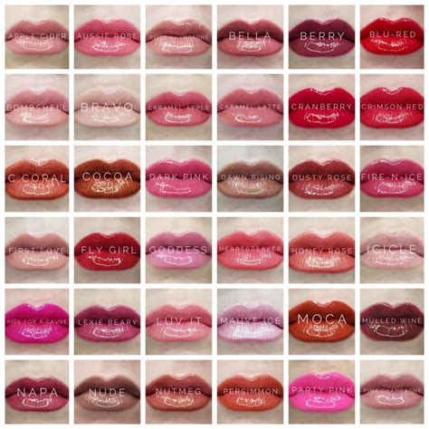 LipSense Winter Lip Color Winter Lips Lipsense Lip Colors Lip Gloss Colors Cocoa Lipsense