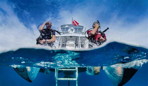 Looking for dan insurance dive. Membership & Insurance - Divers Alert Network