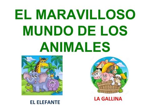 El Maravilloso Mundo De Los Animales Ele Elefante Y La Gallina Ppt
