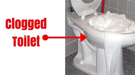 6 Reasons Why Your Toilet Clogs Often Clogged Toilet Toilet Clogs