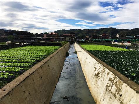 Strawberry Farm Baguio Travel Guide 2019 Lost And Wonder