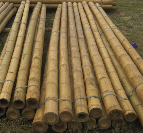 Quality Bamboo And Asian Thatch Bamboo Pole A Achieved Max Wall