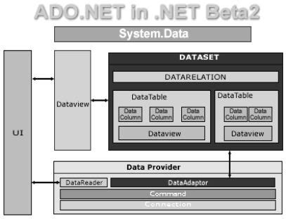 Explain ADO NET Object Model With Suitable Diagram