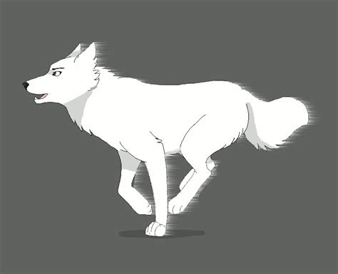 Animation Wolf Run By Wolfinrahalify On Deviantart