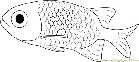Coloring with vigor stories & rhymes exploration english maths puzzles. Small Fish Coloring Page for Kids - Free Other Fish Printable Coloring Pages Online for Kids ...