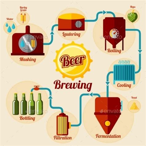 Beer Brewing Process Infographic In Flat Style Beer Brewing Process