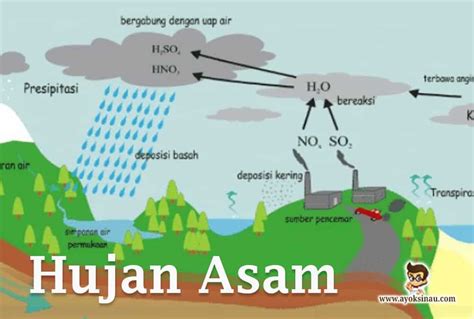 Hujan asam merupakan istilah untuk proses presipitasi atau pengendapan dengan komponen zat yang bersifat asam, seperti asam sulfat atau nitrat, yang kemudian jatuh ke tanah dari atmosfer dalam bentuk basah atau kering. 20+ Ide Animasi Hujan Asam - Amanda T. Ayala