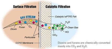 They can cause problems with reproduction, development, and the immune system. Dioxin & Furan Control | AST Canada