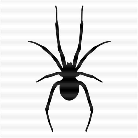 Royalty Free Vector Spider Clip Art Spider