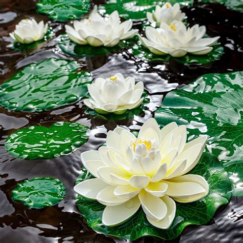 Ffniu Lily Pad For Ponds 9 Pcs Artificial Lotus Realistic