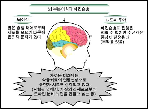 We would like to show you a description here but the site won't allow us. 뇌 연구, 여기까지 진행됐다!