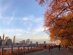 The Brooklyn Heights Promenade at Sunset : r/nyc
