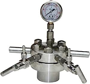 Cgoldenwall High Pressure Hydrothermal Autoclave Reactor Ml