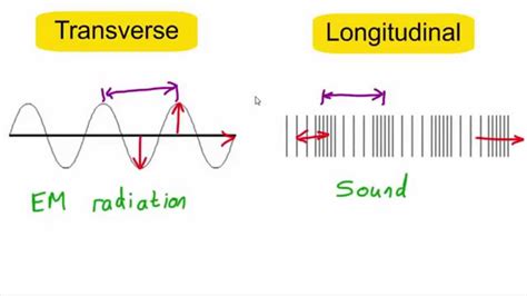 Let's explore the examples of longitudinal wave in our daily life. Transverse vs longitudinal waves - YouTube