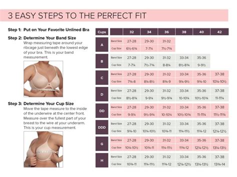 How To Determine Bra Size Chart Bra Size Charts Bra Chart Bra Size Images