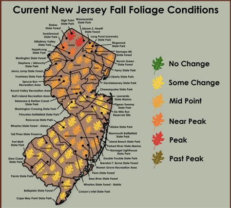 Peak Fall Colors Have Arrived In Part Of Nj Heres Where The Leaves