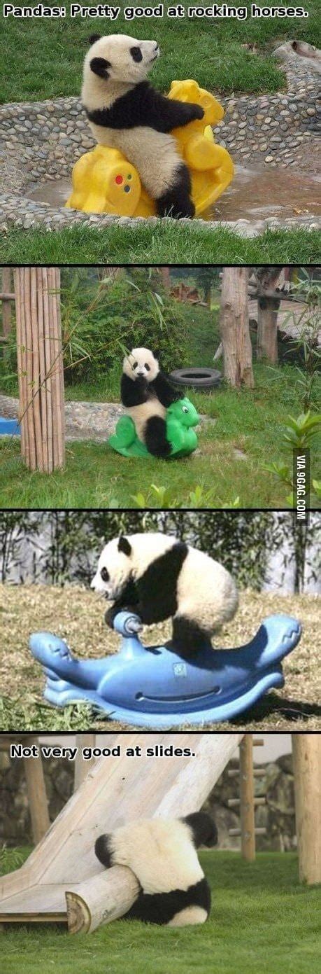 Pandas Not So Good At Slides 9gag