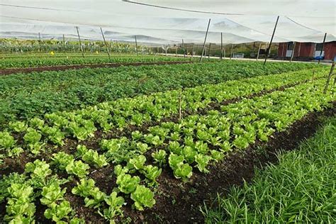 The sterling boutique hotel melaka. BALIK PULAU CYCLING TOUR | Tripcarte.Asia | Promo 2020