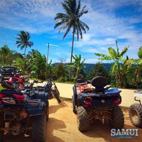 Hour ATV Safari Samui Island Adventures