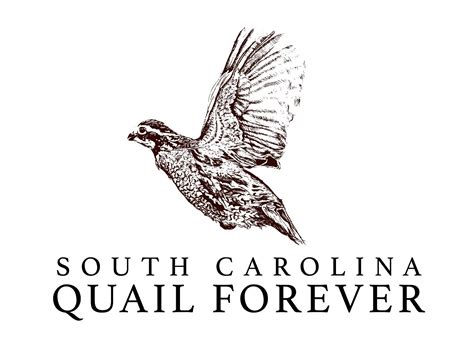Quail Forever In South Carolina