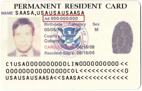 Alien Registration Number Explained Citizenpath
