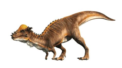 The Longest Dinosaur Name Dinosaur Universe