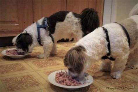 The wrong food could have terrible consequences for your pooch now as well as in the future. What Is The Best Dog Food for Shih Tzu