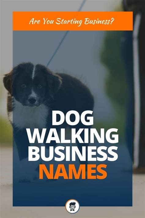 Dog Walking Business Names 459 Catchy And Cool Names Dog Walking