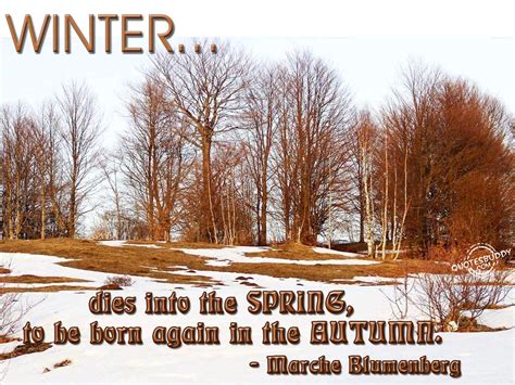 Funny Winter Quotes Quotesgram