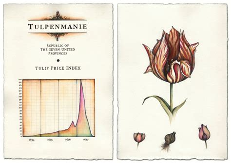 Tulipomanía La Fiebre Holandesa Del Tulipán Guía De Jardín