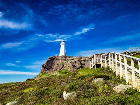 Top 15 Sights And Attractions In Newfoundland Trips To Discover