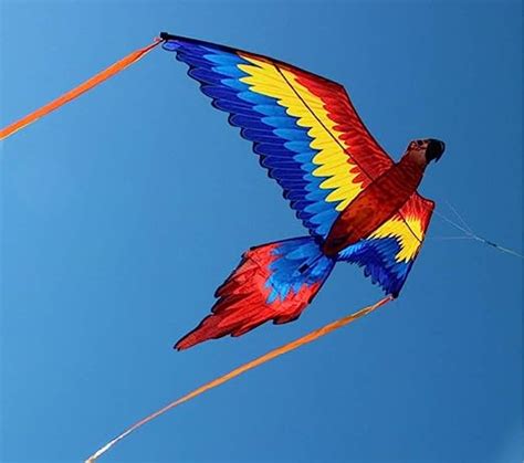 Yhww Kitescolorful Parrot Kite Large Bird Single Line To Prevent Tearing Kite Outdoor Sports