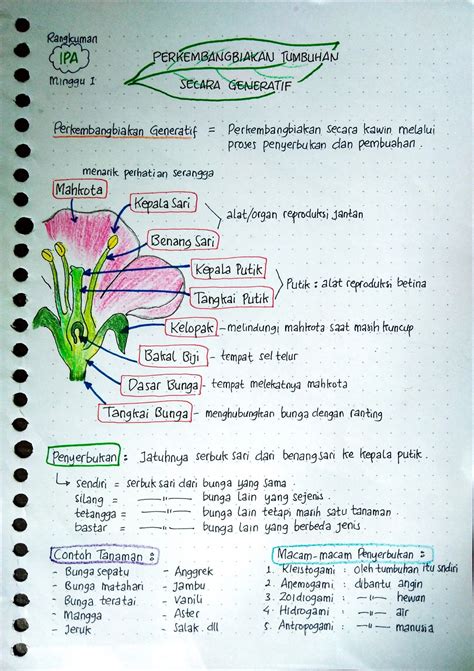 Perkembangbiakan Generatif Tumbuhan | Matematika kelas enam, Sains