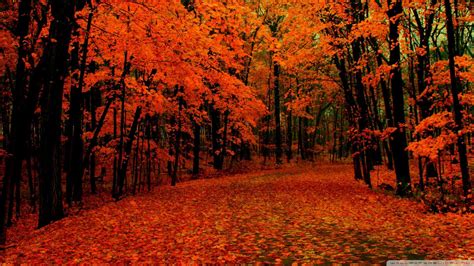 48 Autumn Hd Wallpapers 1080p