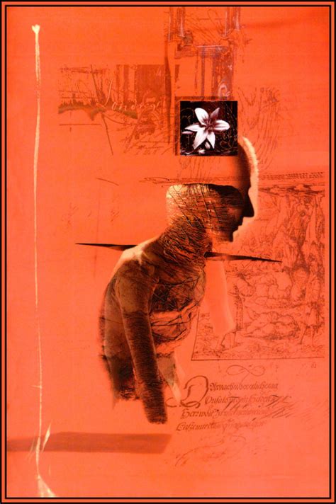 Calvins Canadian Cave Of Coolness Dave Mckean Sandman Covers