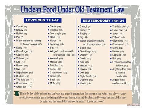 Bible Unclean Food List
