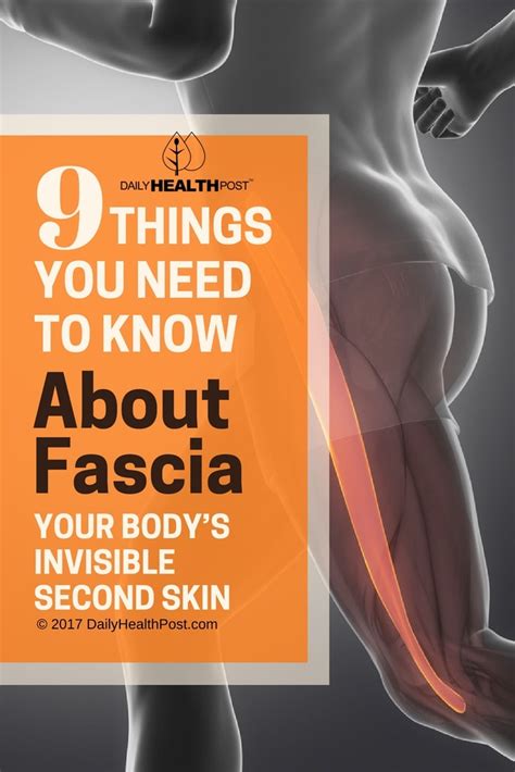 Some people believe that the cryptocurrency phase won't last long, while others think they're going to be around. What is Fascia: 9 Things You Need to Know About Your ...
