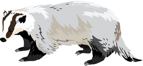 Asian Badger Clipart Free Download Transparent Png Creazilla