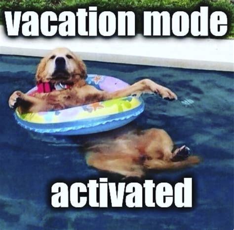 these memes about summer vacations will make you want to pack summer my xxx hot girl