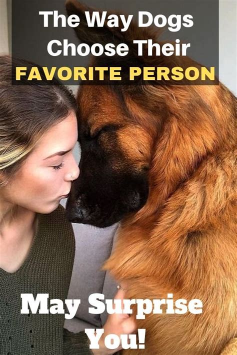 See full list on barkspot.com How Do Dogs Choose Their Favorite Person? | DogSpaceBlog ...