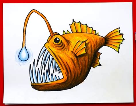 How To Draw A Fish 10 Easy Drawing Projects