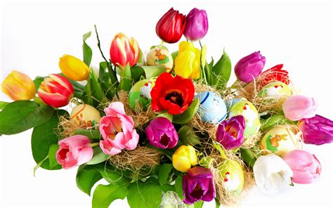 Feiertage Ostern Tulpen Blumen Und Eier 2560x1600 Hd Hintergrundbilder
