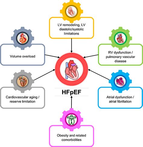 Heart Failure With Preserved Ejection Fraction An Update On