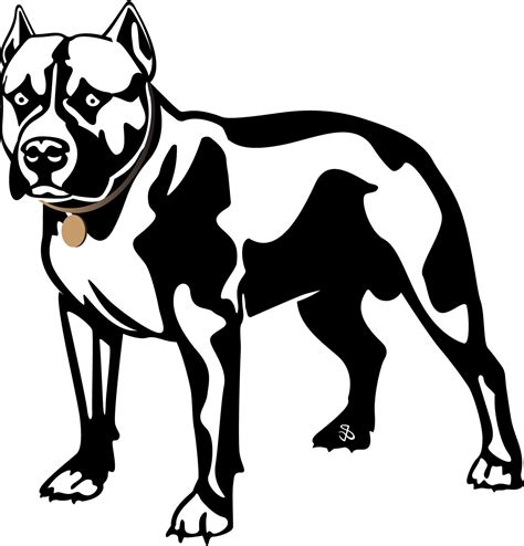 Image Result For How To Draw A Pitbull Face Animal Drawings Dog