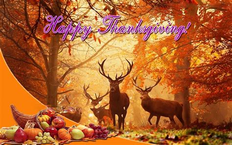 full screen thanksgiving wallpapers top free full screen thanksgiving backgrounds