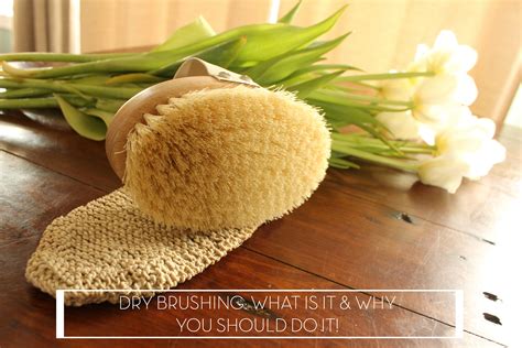 The Benefits Of Dry Skin Brushing And Why You Should Start Too They Roar