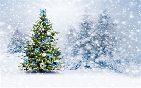 Christmas Tree In The Snowy Forest Hd Wallpaper Christmas Tree