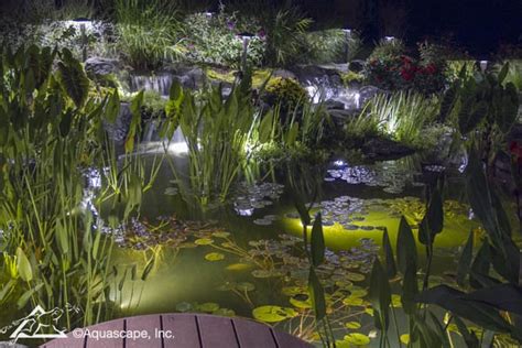 Nybackyard Pondgarden Fountainled Lightinginstalersservices