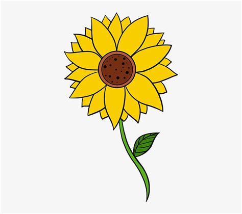 Download How To Draw Sunflower Step By Step Sunflower Drawings Easy